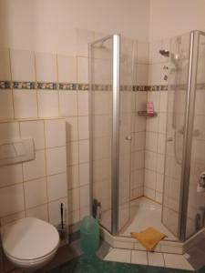 bagno con doccia e servizi igienici. di Arbeiterwohnung Entbuchner Hof a Rohrdorf