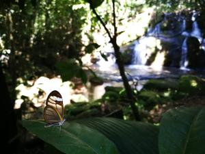 Gallery image of Centro Ecológico La Ribera-CABAÑA 3 in San Rafael +37 photos