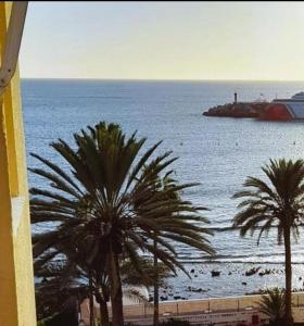 a view of a beach with palm trees and the ocean at DREAMY SUNSET, SeaFront, Direct Access To The Promenade,Wifi,Free Parking in Los Cristianos