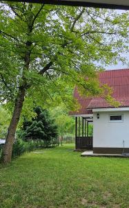 a white house with a red roof and a tree at Cabana 2 Râuri in Bratca