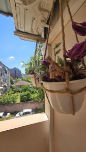 a potted plant in a hanging planter on a window at Ela Apartments 1 in Tirana