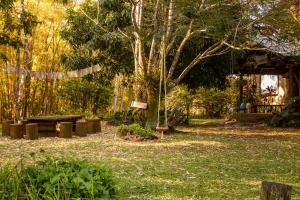 - un parc avec une table de pique-nique et un arbre dans l'établissement Casa colonial aconchegante compartilhada, à Três Coroas