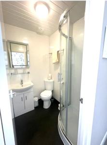 Koupelna v ubytování Hambledon Hotel
