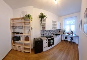 Kuchyň nebo kuchyňský kout v ubytování Apartmány MIS + 17 fotografií