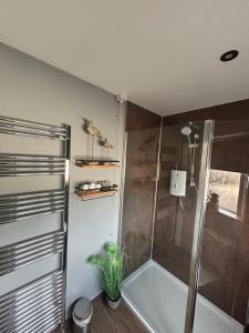 Eddies Lodge & Spa 3 bedroom cottage في Dungiven: حمام مع دش مع باب زجاجي