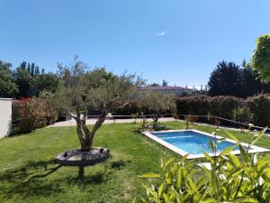 un jardin avec un arbre et une piscine dans l'établissement Maison en campagne, à Avignon