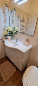 bagno con lavandino, servizi igienici e specchio di Soggiorno dell Agnolo a Firenze