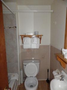 Kopalnica v nastanitvi Manoir Charlevoix