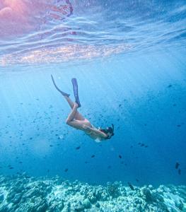 Una donna sta nuotando nell'acqua dell'oceano di Green Leaf Guest House - Omadhoo a Omadhoo