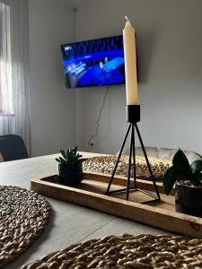 TV a/nebo společenská místnost v ubytování Holiday House Danijela