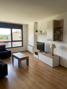 a living room with a couch and a tv and a table at Apartamento en Olvan 3 - ALBERGA in Olvan +10 photos