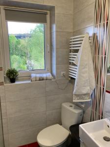 a bathroom with a white toilet and a window at Zaciszny zakątek pod Różą in Skawinki +20 photos
