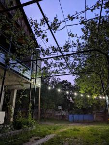 grupa świateł wiszących nad dziedzińcem w nocy w obiekcie Sofia w mieście Wardzia