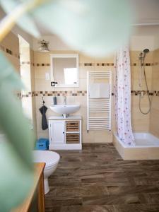 Tagyon的住宿－Pipacs Apartman，浴室配有盥洗盆、卫生间和浴缸。