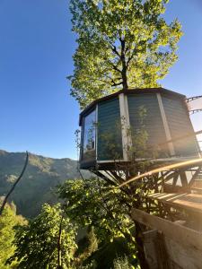 a tree house on the side of a mountain at Northland Bungalows in Çayırdüzü