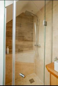 a shower with a glass door in a bathroom at Stans Place Self Catering Cottage in Malmesbury