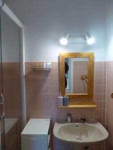 uma casa de banho com um lavatório, um espelho e um WC. em Gîte Les Hauts de Curemonte em Curemonte