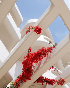 Photo de la galerie de l'établissement Aegean Blue Beach Hotel, à Nea Kallikratia