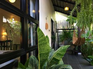 um quarto com muitas plantas e uma janela em Su Kho Rom always home ศุโขรมย์ - Adults Only em Chiang Mai
