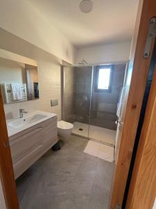 W łazience znajduje się prysznic, umywalka i toaleta. w obiekcie Agroestancia Es Peieret w mieście Sant Francesc Xavier