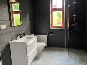 a bathroom with a toilet and a sink and a shower at Rezidence Bratrská in Ostrava