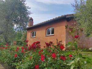 een huis met rode bloemen ervoor bij La Casa delle Rose in Terranuova Bracciolini