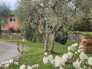 een vaas en wat witte bloemen in een tuin bij La Casa delle Rose in Terranuova Bracciolini