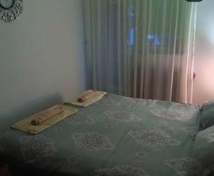 LazarevacにあるTwinsのベッドルーム1室(緑の毛布、窓付)