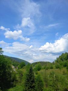 Blick auf einen Hügel mit Bäumen und einem blauen Himmel in der Unterkunft Cottage "A-FRAME romantic house" in Jaremtsche