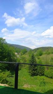 widok pola z okna pociągu w obiekcie Cottage "A-FRAME romantic house" w Jaremczach