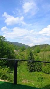 Blick auf ein Feld aus einem Zugfenster in der Unterkunft Cottage "A-FRAME romantic house" in Jaremtsche