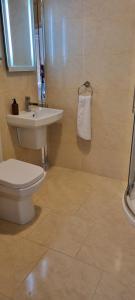 a bathroom with a toilet and a sink at Rowanville Lodge in Grange