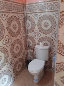 baño con aseo blanco en una habitación en Auberge Camping Garde of Eden LE LAC, en Tinerhir