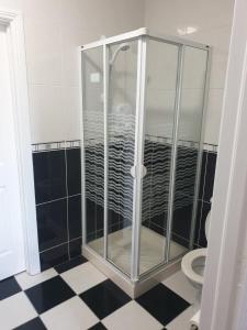 a glass shower in a bathroom with a toilet at Hillside Residence in Carrick on Shannon