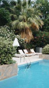 門多薩的住宿－門多薩柏悅水療賭場酒店，一个带2把躺椅和棕榈树的游泳池