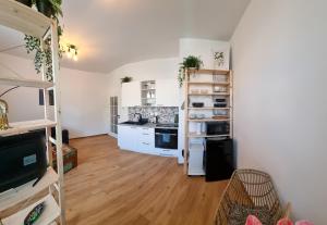 Kuchyň nebo kuchyňský kout v ubytování Apartmány MIS