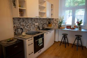 Kuchyňa alebo kuchynka v ubytovaní Apartmány MIS