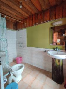 a bathroom with a toilet and a sink at Mt.Narsing Village Resort in Ravangla