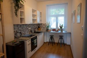 Kuchyňa alebo kuchynka v ubytovaní Apartmány MIS
