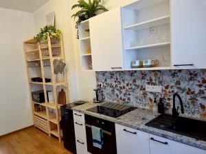 Kuchyňa alebo kuchynka v ubytovaní Apartmány MIS