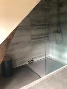 a bathroom with a shower with a glass enclosure at Chambre à la campagne 