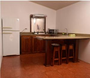 a kitchen with a counter with a refrigerator and a sink at Centro Ecológico La Ribera-CABINA 4 in San Rafael