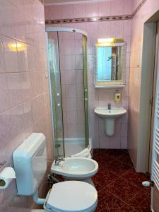 Kúpeľňa v ubytovaní Flóra Panzió