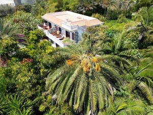 an aerial view of a house with a palm tree at El Time in Tijarafe