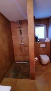 a bathroom with a shower with a toilet and a window at Noor Lux Apartments in Bad Hall +15 photos