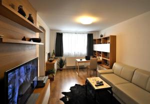 Televízia a/alebo spoločenská miestnosť v ubytovaní Appartements Lobkowicz