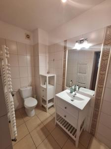 W łazience znajduje się toaleta, umywalka i lustro. w obiekcie Ranczo Brusno w mieście Połczyn-Zdrój