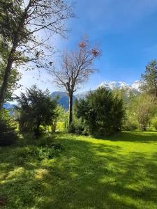 a green field with trees and mountains in the background at Appartement mit Hallenbad in Sankt Martin bei Lofer