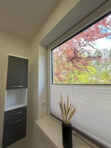 Kuchyň nebo kuchyňský kout v ubytování Ferienwohnung Nordlicht