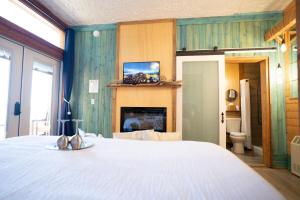 TV a/nebo společenská místnost v ubytování Homer Inn & Spa